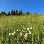 Guffertblick