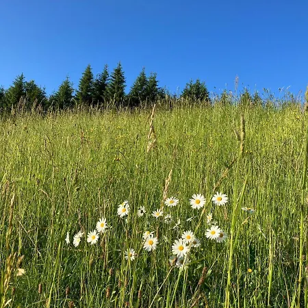 Guffertblick