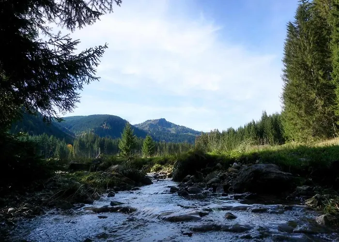 Guffertblick Vakantiehuis Achenkirch