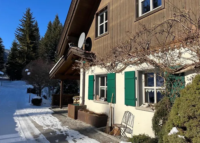 Guffertblick Ferienhaus Achenkirch